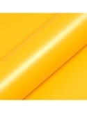 T5116 - Bouton d'or